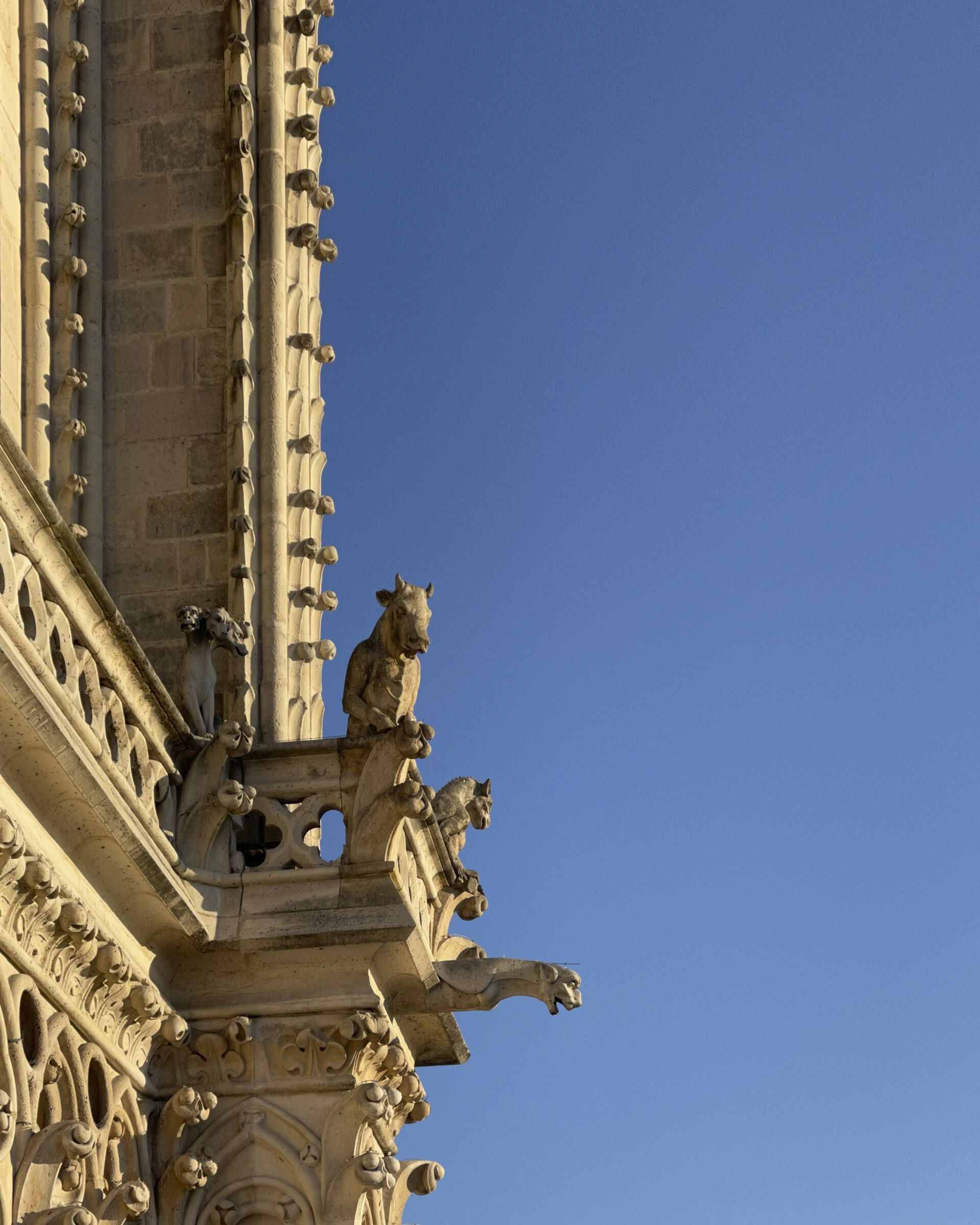 Notre-Dame de Paris